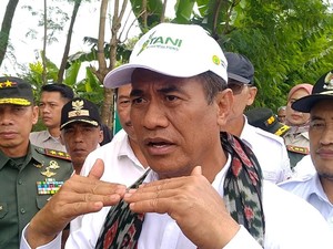 Mentan Mau Genjot Produksi Padi di Merauke, Bisa Hasilkan 7 Ton/Ha