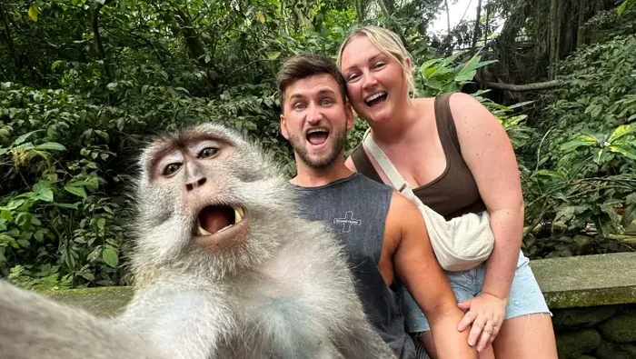 Momen langka, monyet ekor panjang selfie dengan pasangan bule di Bali. Lihat senyumnya, merekah banget!