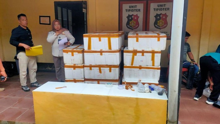 Polisi menyita 30 boks benih lobster yang akan diselundupkan ke Singapura