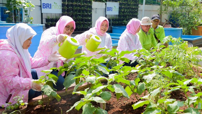 Program BRInita saat ini telah diimplementasikan di 21 lokasi yang tersebar di berbagai wilayah di Indonesia yang sebagian besar pengelolaannya dijalankan oleh kelompok usaha wanita.