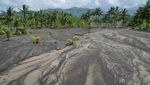 Puluhan Hektare Lahan Pertanian Terdampak Banjir Lahar Gunung Semeru