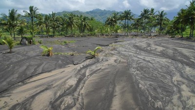 Puluhan Hektare Lahan Pertanian Terdampak Banjir Lahar Gunung Semeru