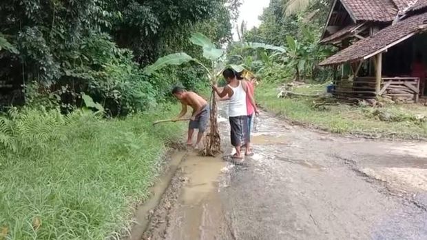 Warga Desa Sukarendah, Kecamatan Warunggunung, Lebak, Banten, protes jalan rusak dengan tanam pohon. (Foto: dok. Istimewa)