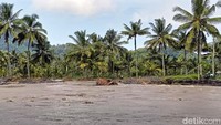 Bahkan, padi warga yang hampir panen juga terendam banjir lahar.