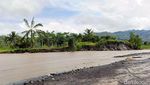 Tanggul Jebol Puluhan Hektar Sawah Terendam Banjir Lahar Dingin Semeru