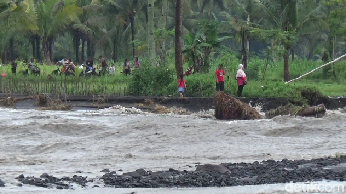 50 hektare sawah terendam banjir lahar dingin Gunung Semeru