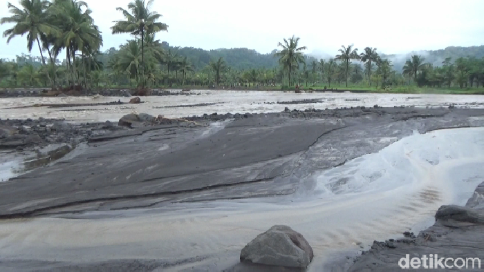 50 hektare sawah terendam banjir lahar dingin Gunung Semeru