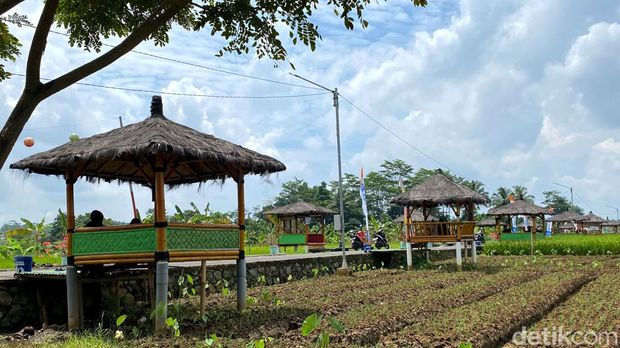 Berkat pengelolaan Bumdes Desa Cikaso, Kuningan diganjar penghargaan Desa BRILian Juara 2 tingkat nasional dari Bank BRI.