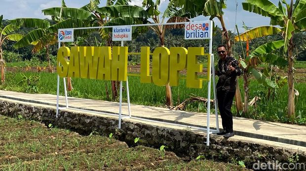 Berkat pengelolaan Bumdes Desa Cikaso, Kuningan diganjar penghargaan Desa BRILian Juara 2 tingkat nasional dari Bank BRI.