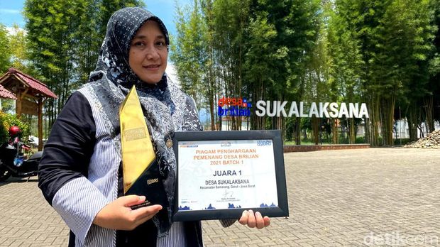 Desa BRILian Sukalaksana Garut, Miliki Klaster Usaha Teh Kewer yang merambah pasar Asia.