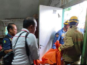 Kisah Kesetiaan Anjing di Bojonegoro Ikut Mati Usai Jaga Jenazah Majikannya