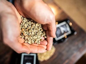 5 Fakta White Coffee, Kok Bisa Kopi Putih Warnanya?
