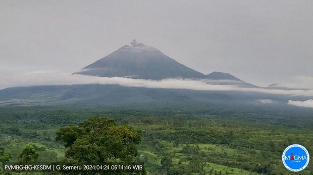 gunung semeru erupsi pukul 06:14 WIB dengan tinggi kolom abu teramati ± 600 m di atas puncak