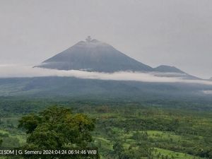 Gunung Semeru Erupsi, Begini Cara Cek Status Gunung Api