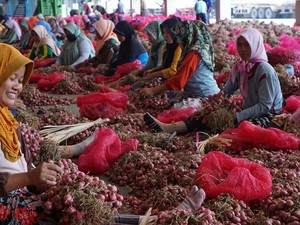 Jurus Kementan Kendalikan Harga Bawang Merah Setelah Lebaran