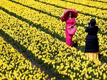 Islandia Lengser, Ini Negara Teraman untuk Liburan Tahun 2026