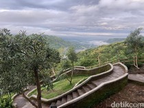 Harapan Provinsi DIY buat Menteri Kehutanan dan Menteri Lingkungan Hidup