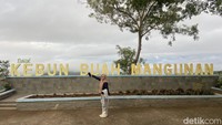 Disampaikan oleh Sugiyarto, Asisten Kepala Pengelola Kebun Buah Mangunan, cikal bakal dimulai dari dibukanya Kebun Buah Mangunan pada tahun 2003. Saat itu, lokasi seluas 24,5 hektar tersebut dikelola oleh Dinas Pertanian Pemerintah Kabupaten Bantul untuk dijadikan sebagai kebun buah yang memenuhi kebutuhan buah segar non-kimia bagi masyarakat sekitar. 