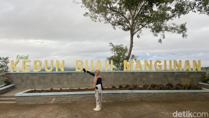 Kilas Balik Perjalanan Mangunan Jadi Desa Wisata Tersohor di Jogja Mangunan dikenal sebagai desa wisata dengan kawasan hutan pinus, kebun buah, dan panorama viewnya sebagai destinasi unggulan. Desa ini pernah masuk dalam 50 desa wisata terbaik di Indonesia yang ditetapkan oleh Kementerian Pariwisata dan Ekonomi Kreatif (Kemenparekraf) pada 2021 lalu. Melihat kesuksesannya, bagaimana kilas balik Mangunan akhirnya berdiri sebagai desa wisata?