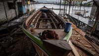 Desa Pulau Sewangi yang berada di alur Sungai Barito itu, 70 persen warganya bermata pencaharian pembuatan perahu tradisional dari total penduduk sekitar tiga ribu jiwa. 