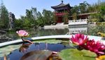 Melihat Pameran Hortikultura Internasional 2024 di Chengdu