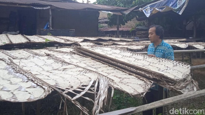 Pekerja Herlina saat mengangkat rigen atau tatakan berisi opak karena cuaca yang mendung (Andika Syahputra/detikcom)