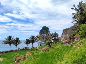 Surga Dunia! Hijau Biru Hamparan Sawah dan Laut di Pantai Pangasan Pacitan