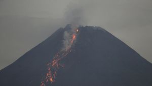Potret Lava Pijar Mengalir dari Puncak Gunung Merapi