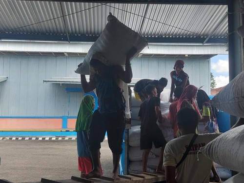 Proses angkut muat jagung yang diserap Perum Bulog Cabang Bima di CDC Dompu, NTB, Rabu (24/4/2024). (Dok. Perum Bulog Bima)