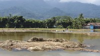 Hujan yang mengguyur di wilayah Kabupaten Tasikmalaya menyebabkan Sungai Citanduy meluap dan merendam ratusan rumah serta ratusan hektare lahan pertanian.
