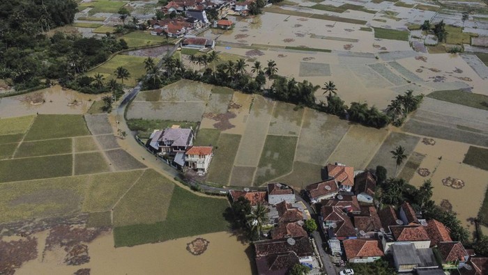 Ratusan Hektare Lahan Pertanian di Tasikmalaya Terendam Banjir Lahan pertanian yang terendam banjir di Sukaresik, Kabupaten Tasikmalaya, Jawa Barat, Rabu (24/4/2024). Hujan yang mengguyur di wilayah Kabupaten Tasikmalaya menyebabkan Sungai Citanduy meluap dan merendam ratusan rumah serta ratusan hektare lahan pertanian. ANTARA FOTO/Adeng Bustomi/Spt.