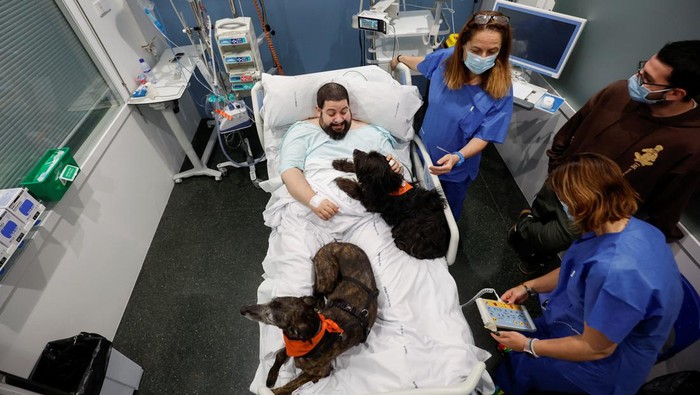 Patient Joel Bueno caresses theraphy dogs as the Affinity Foundation brings dogs to  comfort ICU (Intensive Care Unit) patients at Hospital del Mar in Barcelona, Spain, April 18, 2024. REUTERS/Albert Gea