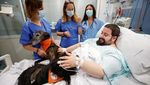 Rumah Sakit di Spanyol Rekrut Anjing untuk Semangati Pasien, Ini Potretnya