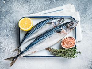 Hati-hati! 5 Ikan Ini Bisa Mengandung Merkuri Tinggi