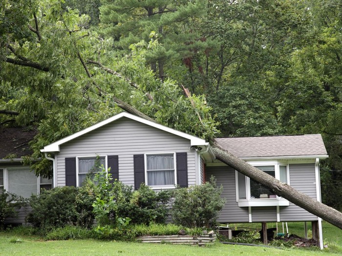 Tree that has fallen on a house during a severe storm
[url=file_closeup.php?id=17576193][img]file_thumbview_approve.php?size=1&id=17576193[/img][/url]

[url=http://www.istockphoto.com/file_search.php?action=file&lightboxID=3990307]
[img]http://i292.photobucket.com/albums/mm29/jcookephoto/constructionlblink.jpg[/img][/url]