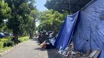 Berburu Bunga di Kota Baru Jogja
