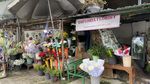 Berburu Bunga di Kota Baru Jogja