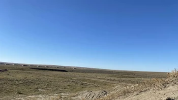 Bunker ini terletak di lingkungan yang tidak biasa. Ini adalah salah satu dari sekitar 575 bunker serupa yang tersebar di beberapa hektar tanah yang dulunya merupakan markas militer. Foto: Boredpanda