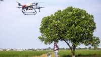 Canggih, Petani Indramayu Semprotkan Pertisida Pakai Drone