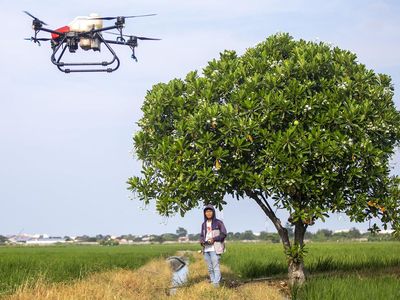 Canggih, Petani Indramayu Semprotkan Pertisida Pakai Drone