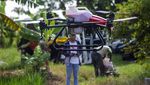 Canggih, Petani Indramayu Semprotkan Pertisida Pakai Drone