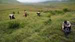 Gunung Bromo Ditutup Sementara