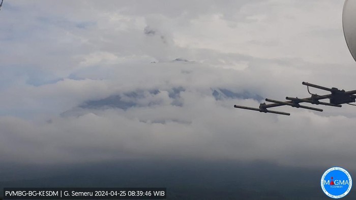 gunung semeru erupsi setinggi 1.000 meter pukul  08.34 WIB. Kolom abu teramati berwarna putih hingga kelabu dengan intensitas sedang ke arah selatan