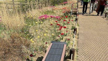 Bangku bertenaga surya di Seoul yang juga dilengkapi dengan pengisi daya untuk gadget. Foto: Bored Panda