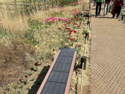 Hal-hal yang Cuma Ada di Korea Selatan, Nggak Kepikiran!