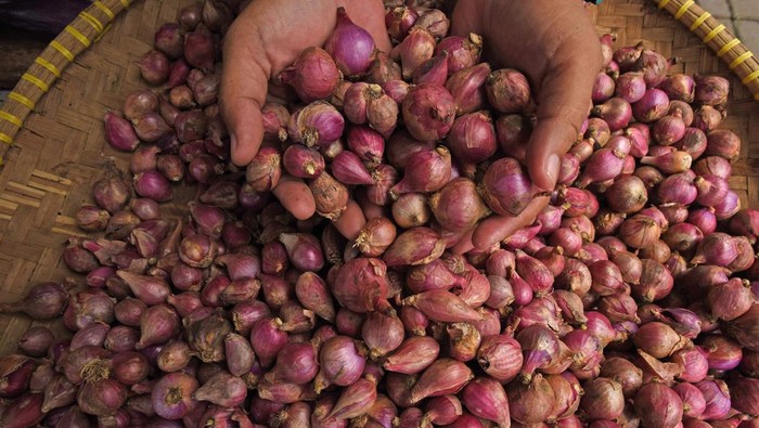 Pedagang memilih bawang merah di Pasar Induk Rau Kota Serang, Banten, Rabu (24/4/2024). Menurut pedagang sejumlah komoditas sayur mayur kembali mengalami kenaikan pasca lebaran seperti harga bawang merah dari Rp45 ribu menjadi Rp70 ribu perkilogram, bawang bombay dari Rp40 ribu menjadi Rp60 ribu perkilogram dan tomat dari Rp15 ribu menjadi Rp30 ribu perkilogram. ANTARA FOTO/Asep Fathulrahman/Spt.