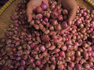 Harga Bawang Merah di Palembang Turun, Kini Menjadi Rp 42.000/Kg