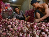 Harga Bawang Merah di Sumut Terus Melambung, di Toba-Sidimpuan Rp 60 Ribu per Kg