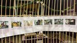 Keraton Yogyakarta Suguhkan Pameran Temporer Abhimantrana