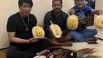 Keseruan Parto Saat Makan Durian hingga Kulineran Bareng Keluarga